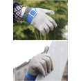 thumbnail image 4 of Guantes resistentes a cortes Guantes de carnicero de acero inoxidable 316L Guantes de trabajo de protección de nivel 5 GL09 L (un guante) JAMW Sencillez, 4 of 5