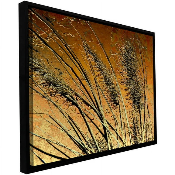 ArtWall Dean Uhlinger "March Grass" Floater Framed Gallery-Wrapped Canvas