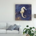 thumbnail image 3 of Trademark Fine Art 'Treasures from the Sea Indigo I' Canvas Art by Danhui Nai, 3 of 3