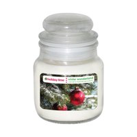 Holiday Time 3-oz Jar Candle, Winter Wonderland