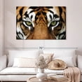 thumbnail image 2 of Elephant Stock Gaze Of A Tiger Wall Art - Horizontal Canvas Wall Art - Living Room Wall Decor - Animal Canvas - Brown And Orange Decor - 48" x 32", 2 of 8