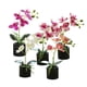 thumbnail image 3 of Simulación de Reemplazo Decorativo de Flores Falsas Bewildely Decoración de Plantas Artificiales, 3 of 6