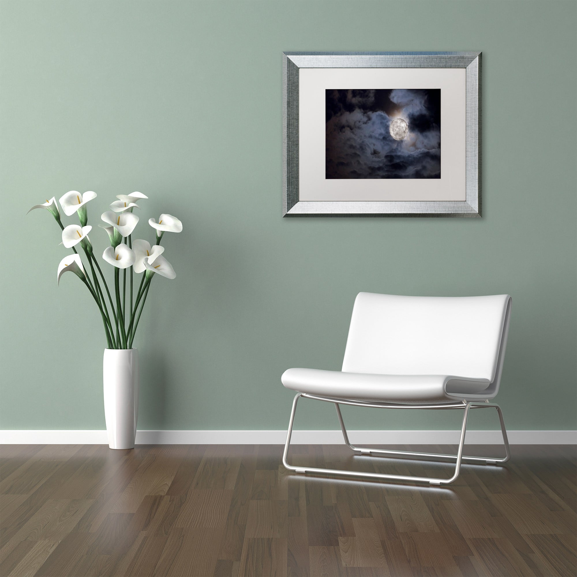 Trademark Fine Art "Supermoon " Canvas Art by Jason Shaffer, White Matte, Silver Frame