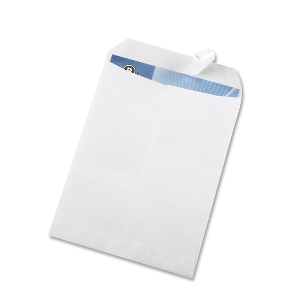 Business Source Catalog Envelopes Self Seal 28lb 9"x12" 100/BX WE Wove