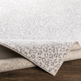 thumbnail image 5 of Mark&Day Animal Print Rugs, 2x3 Dassemus Modern Cheetah Leopard Light Gray Area Rug, Grey Cream Carpet for Living Room, Bedroom or Kitchen (2' x 2'11"), 5 of 7