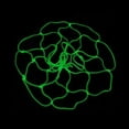 thumbnail image 1 of In The Dark Basketball Hoop Net Luminous Basketball Net Outdoor Sports Accessories Sporting Goods, 1 of 7