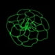 thumbnail image 2 of Red de baloncesto ANGGREK luminosa de Nailon Para exteriores color verde fluorescente, 2 of 7