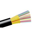 thumbnail image 1 of CableWholesale 11F3-012NH Fibre Optique Recto Verso Monomo 9-125, 1 of 1