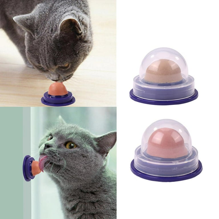 Catnip sugar sales