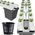 thumbnail image 5 of 12pcs 3 Inch Round Heavy Net Cup Flower Pot with 3 Inch Net Pots Super Heavy Duty Cups Wide Lip Design - Orchids • Aquaponics• Hydroponics Slotted Mesh, 5 of 5