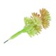thumbnail image 4 of Plantas de Flor Edelweiss perfecl Follaje Decoración artificial, 4 of 5