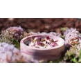 thumbnail image 2 of Rose Natural Soy Candle in Plaster Cup, 2 of 6