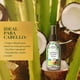 thumbnail image 2 of Mezcla de Aceite para el Cabello Herbal Essences Bio:Renew Coconut & Aloe 100 ml, 2 of 5