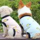 thumbnail image 5 of Pijamas para perros ropa linda para gatos pijamas para mascotas onesiepinkM, 5 of 5