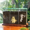 thumbnail image 1 of Now You See It Now You Don't See - Through Compost Container, 1 of 4