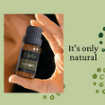 thumbnail image 5 of ZAVBE Nutmeg Essential Oil (Myristica Fragrans) | 100% Pure, Undiluted, Natural, Therapeutic Grade 10 mL (1/3 oz), 5 of 5