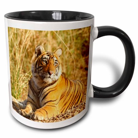 3drose, Royal Bengal Tiger, Ranthambhor National Park, India-as10 Jra0308 - Jagdeep Rajput, 11oz Two-tone Black Mug