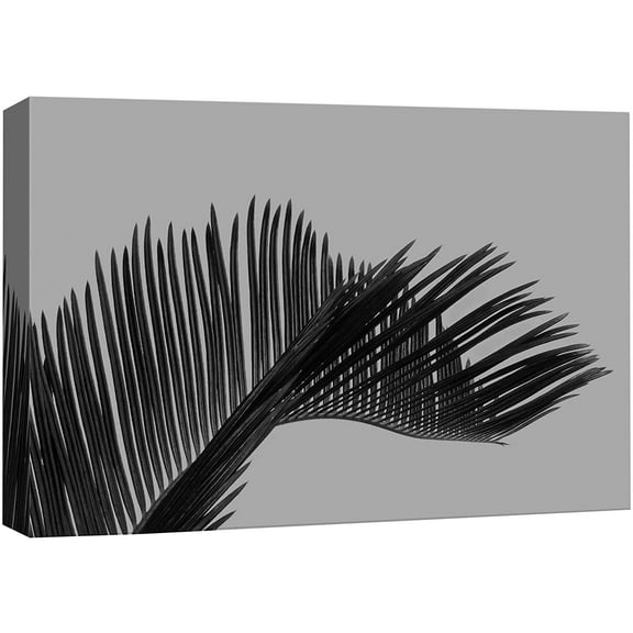wall26 Canvas Print Wall Art Grayscale Coconut Palm Tree Leaf Floral Nature Photography Minimalism Tropical Scenic Relax/Calm Black and White for Living Room, Bedroom, Office - 32"x48"