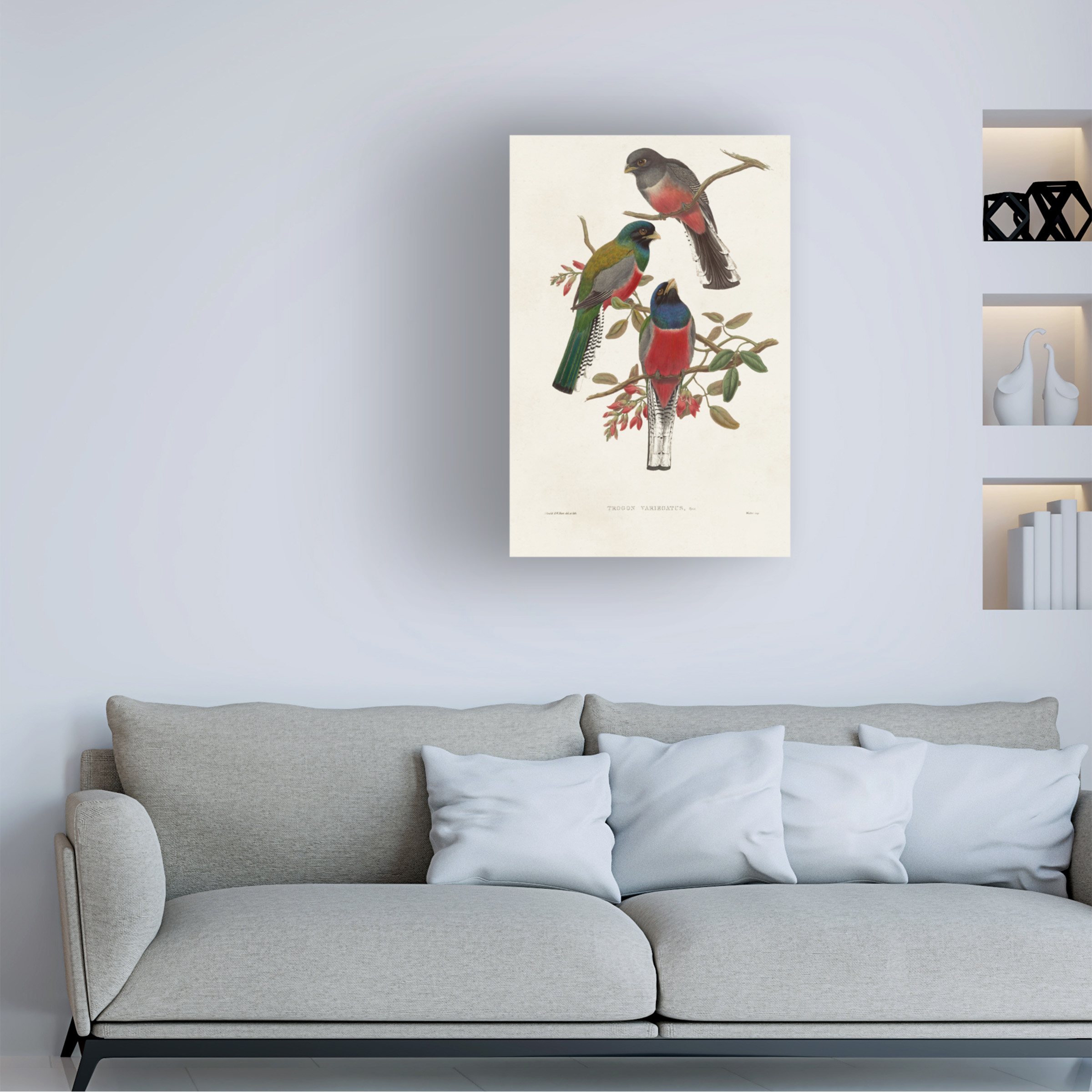 John Gould 'Elegant Trogons IX' Canvas Art