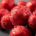 thumbnail image 2 of 49"L Sullivans Red Ball Christmas Garland, 2 of 6
