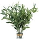 thumbnail image 1 of 5PCS-Simulación Rama de Olivo-Verde-90cm Zhivalor WRJM-457, 1 of 7