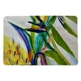 thumbnail image 1 of Betsydrake DM1162 Tapis de Porte Paradis II de 18 x 26 Po, 1 of 1