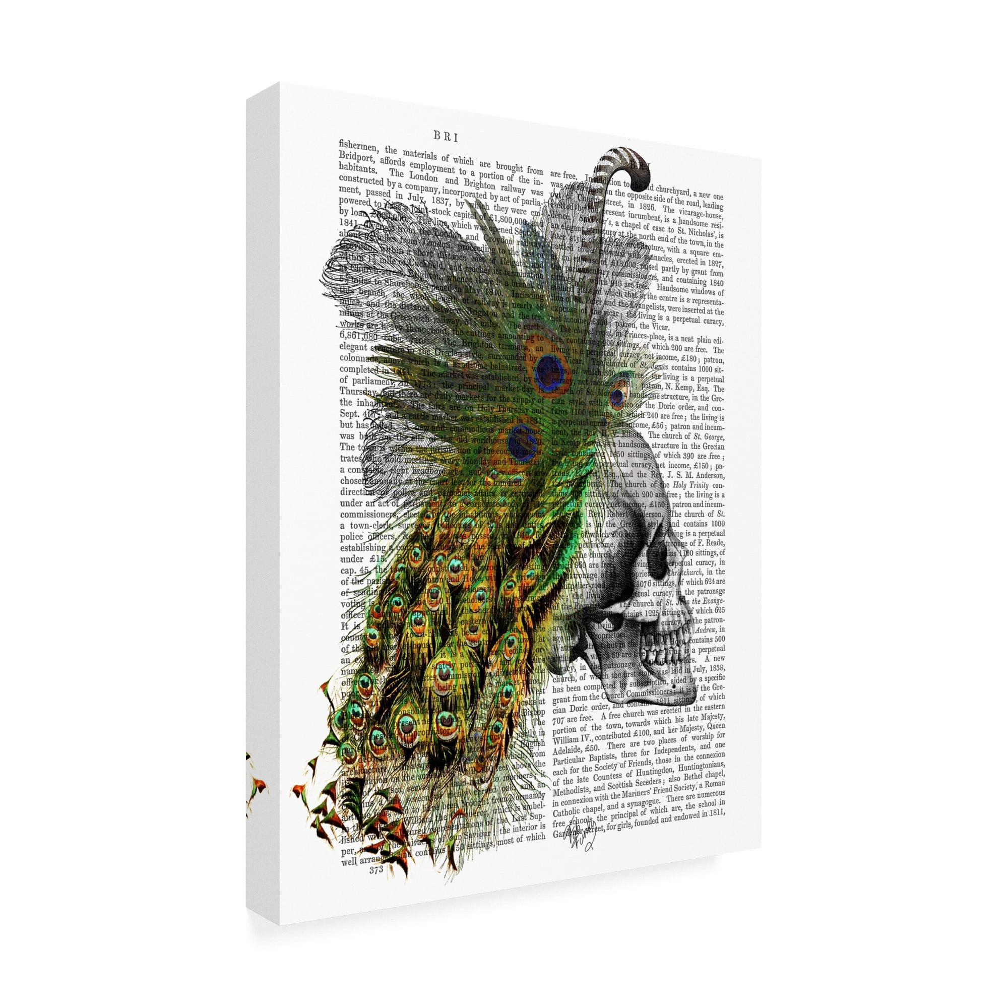 Trademark Fine Art 'Skull With Feather Headdress' Canvas Art by Fab Funky