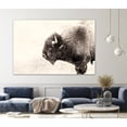 thumbnail image 2 of Giant Art 72x48 Buffalo Fine Art Giant Canvas Print in Pink, 2 of 3