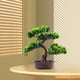 thumbnail image 3 of de bonsái artificial, verde decorativo con maceta, simulación de bonsái, de imitación para granja, escritorio, baño, decoración del, 3 of 7