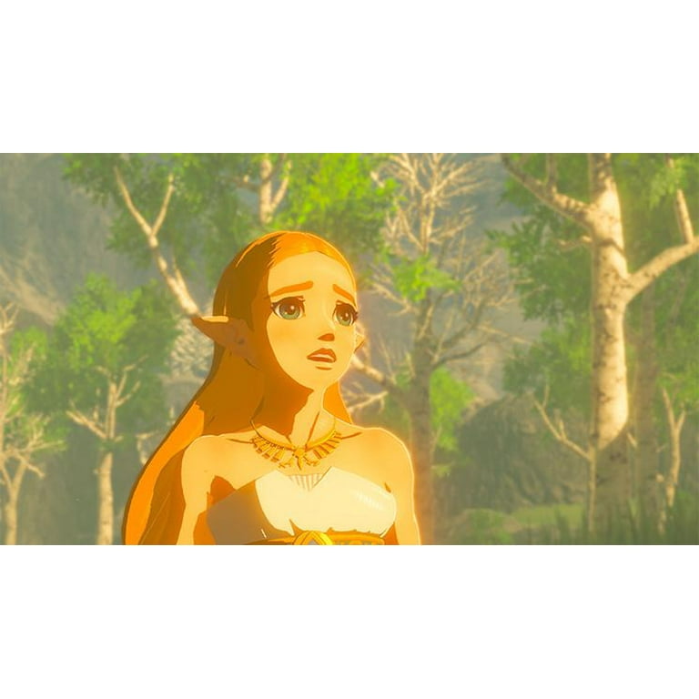 The Legend of Zelda: Breath of the Wild - Nintendo Switch 