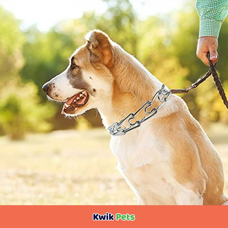 Coastal pet top prong collar