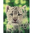 thumbnail image 1 of 5D DIY diamante cuadrado diamante pintura tigre animal punto de cruz (B979) FLhrweasw Nuevo, 1 of 1