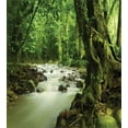 thumbnail image 3 of Rainforest Duvet Cover Set, Tropical Rainforest and Rocky River in Selangor State Malaysia Wildlife, Decorative 3 Piece Bedding Set with 2 Pillow Shams, Queen Size, Green Brown, by Ambesonne, 3 of 3