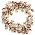 thumbnail image 3 of Shisuyan 100pcs Wooden Pushpins Multi-function Thumb Tacks Convenient Thumbtacks Photo Accessory, 3 of 8