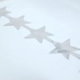 thumbnail image 4 of BalsaCircle Metallic Silver Star 6 feet Foil Tassels Fringe Backdrop Curtains Party Events, 4 of 8