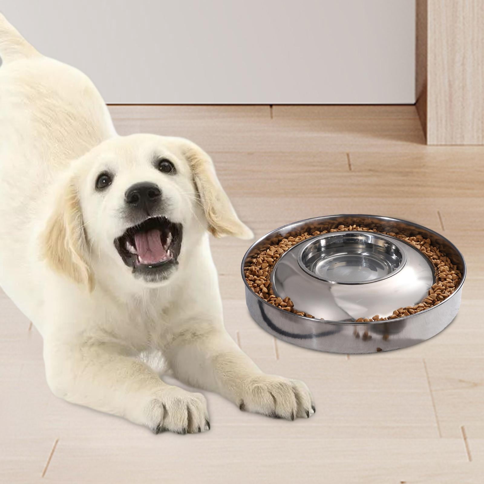 Dog Water and Food Bowl Set Cats Feeder Feeding Dish Water Drinking Bowl Stainless Steel Slow Feeder for Large Medium Small Dogs Other Pets Diameter 36cm