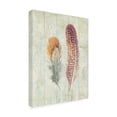 thumbnail image 2 of Trademark Fine Art 'Natural Flora XI' Canvas Art by Danhui Nai, 2 of 3