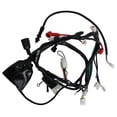 thumbnail image 1 of Arnes Electrico Roda Italika DM 200 12V, 1 of 2