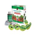 thumbnail image 1 of KIT de Tomate d'Intérieur 6 Pcs (Lot de 1), 1 of 1