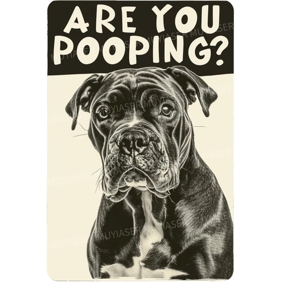 Metal Tin Sign Cane Corso Are You Pooping Vintage Metal Signs Retro Aluminum Tin Sign for Room Garden Door Home Bar Cafe Decor 8x12 Inch