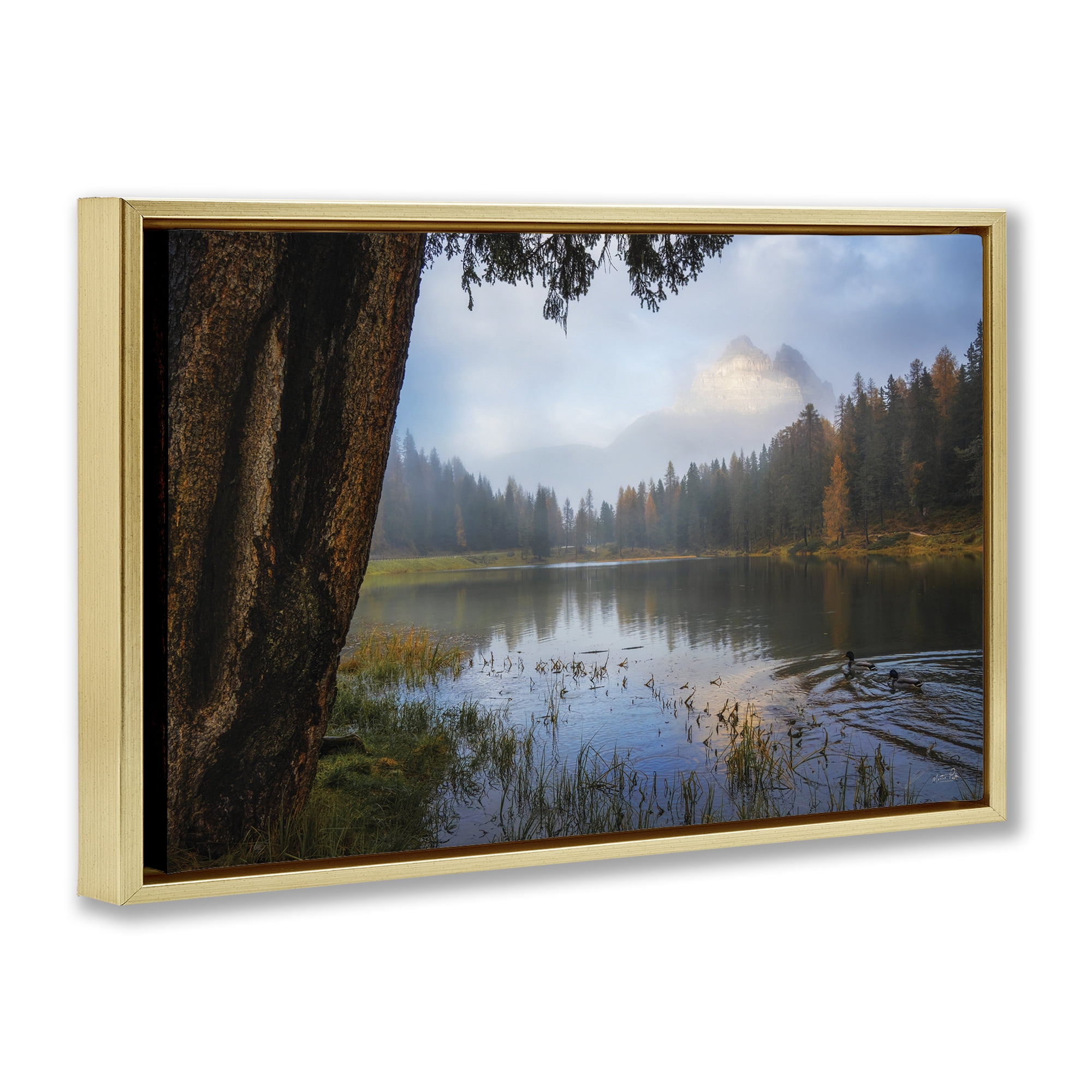 Stupell Industries Autumn Forest Reflections Gold Framed Floater Canvas Wall Art, design by Martin Podt