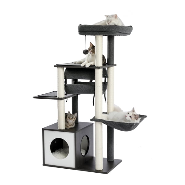 Overstock Clearance for Cats, On Sale