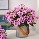 thumbnail image 4 of Flores Artificiales de Margarita Gerbera | Tallos Florales Falsos Realistas para Jarrón | Decoración de Flor de Seda de Mano Realista | Juego de 2 | 11.8 Pulgadas de Alto | Hogar, Boda, Arreglo para, 4 of 4