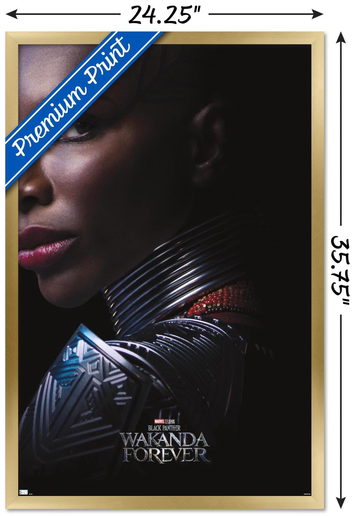 Marvel Black Panther: Wakanda Forever - Aneka One Sheet Wall Poster, 22.375" x 34" Framed