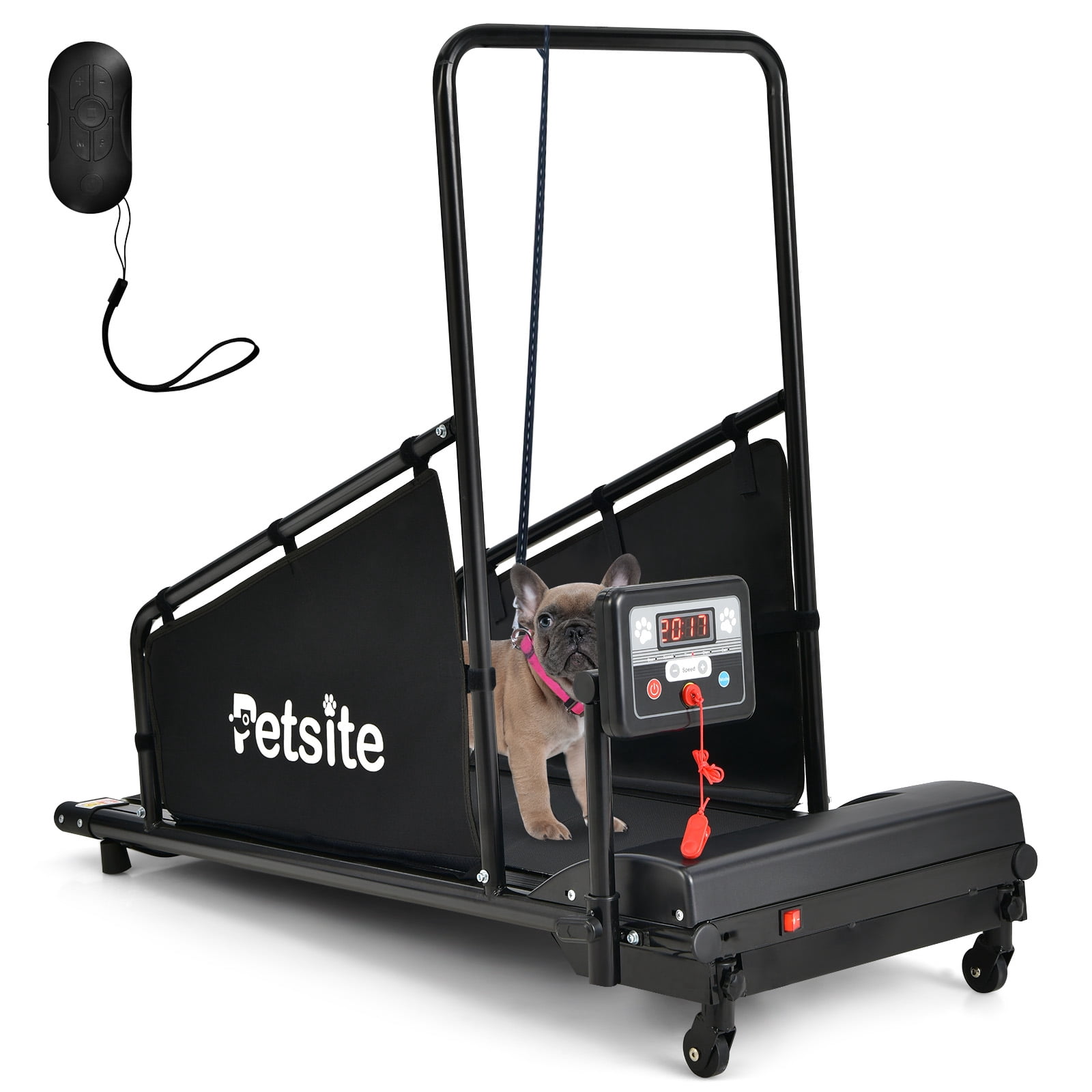 Infans Pet Treadmill Indoor Exercise For Dogs Pet Exercise Equipment w ...