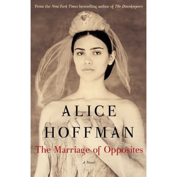 Pre-Owned The Marriage of Opposites (Hardcover)