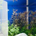 thumbnail image 4 of GOOHOCHY 2Ud Divisor Para De Peces De Plástico Estable Y Duradero Para Separar, 4 of 7