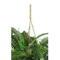 thumbnail image 3 of Nearly Natural 18" Boston Fern Artificial Plant in Hanging Basket, Green, 3 of 6