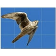 thumbnail image 1 of Bird Picture Ceramic Tile Mural Kitchen Backsplash Bathroom Shower 404167-M43, 1 of 3