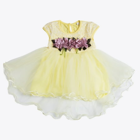 

Baby Girls Lace Dress Princess Toddler Infant Kids Sleeveless Ruffle Ball Gown Mesh Multi-Layer 3D Flower Tutu Tulle Dress Party